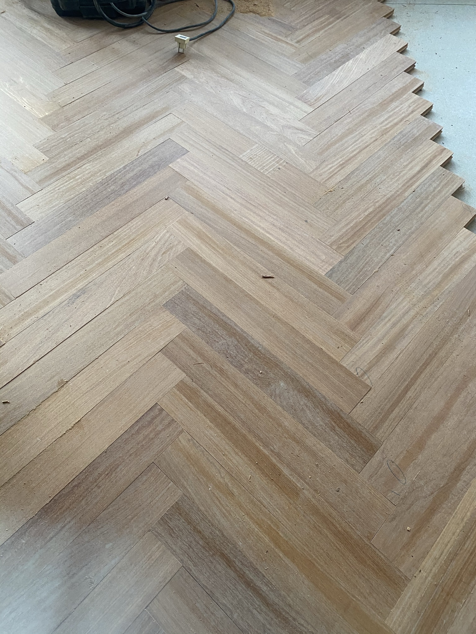 IMG_6751