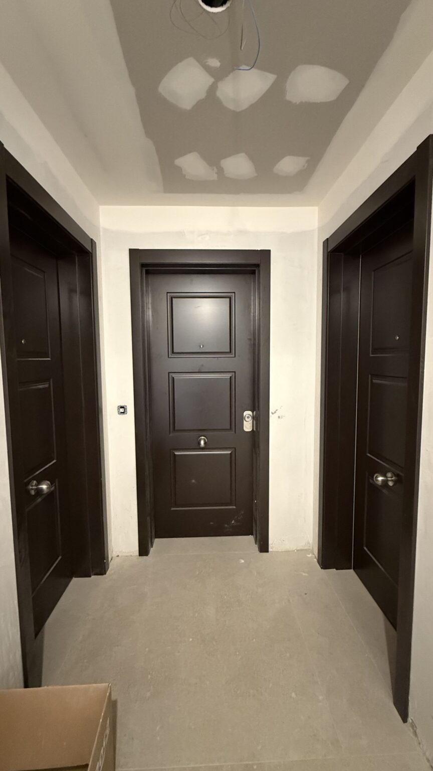 puerta de entrada madera oscura moderna