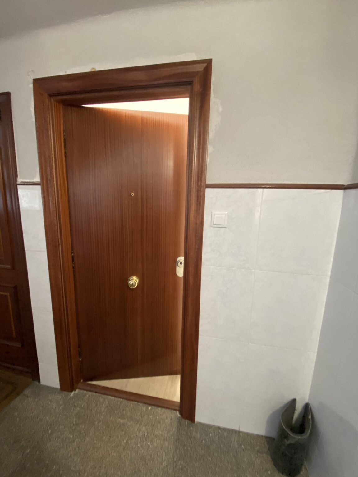 puerta de entrada tirador dorado (2)
